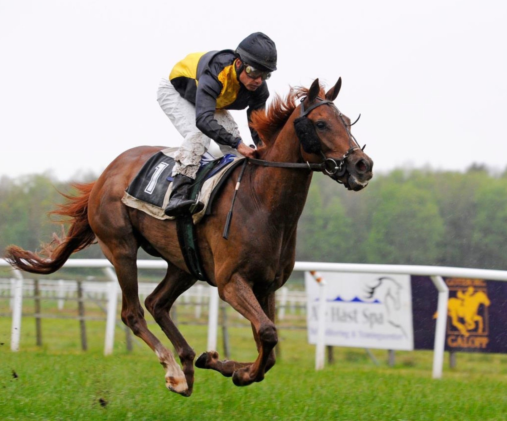 A gyeplő kiengedve - meddig száguld a hazai infláció? - Danube Capital ...